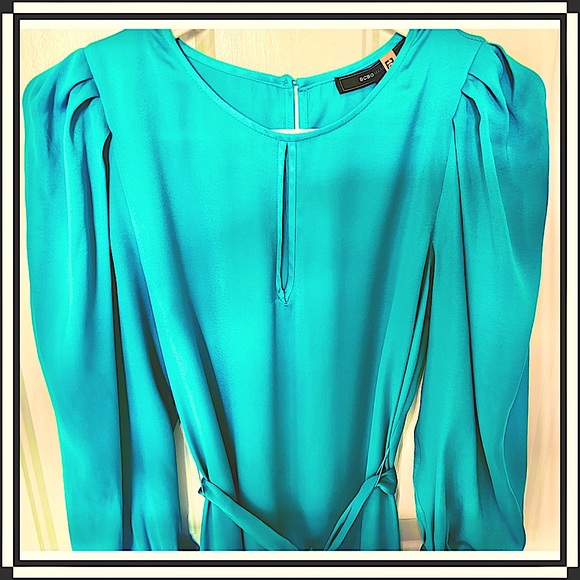 BCBG MaxAzria “Miri” Dress (EUC) - Picture 3 of 7